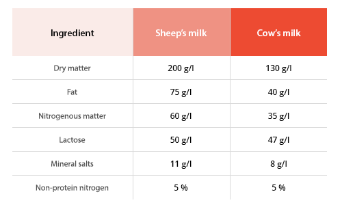 sheep milk VS cow milk